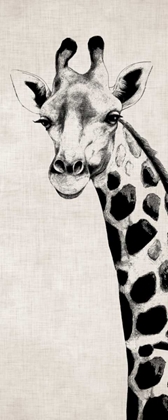 Picture of GIRAFFE II