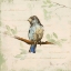 Picture of BIRD SCENE II