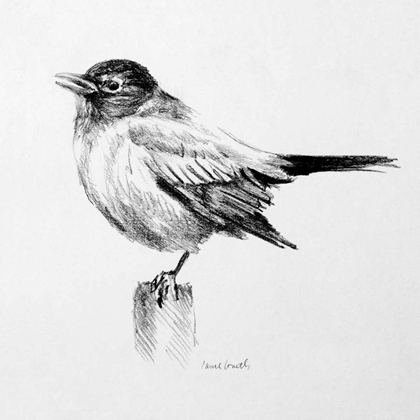 Picture of BIRD DRAWING III