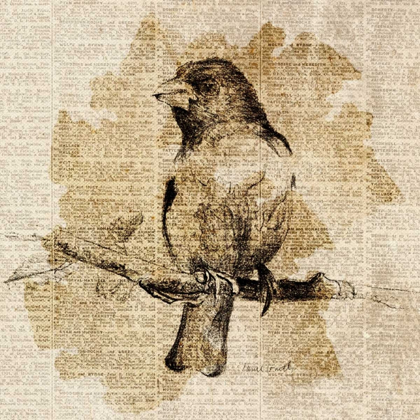 Picture of BIRD STUDY IV