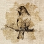 Picture of BIRD STUDY IV