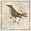 Picture of BIRD WOODCUT II
