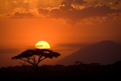Picture of AFRICAN SUNSET I