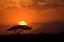 Picture of AFRICAN SUNSET I