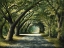 Picture of FAVORITE PATH