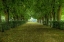 Picture of FRENCH GARDENS
