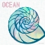 Picture of OCEAN SHELL