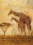 Picture of NAIROBI