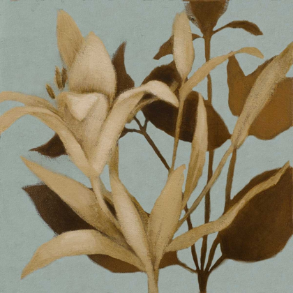 Picture of FOLIAGE ON TEAL II