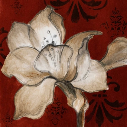 Picture of AMARYLLIS ON RED II