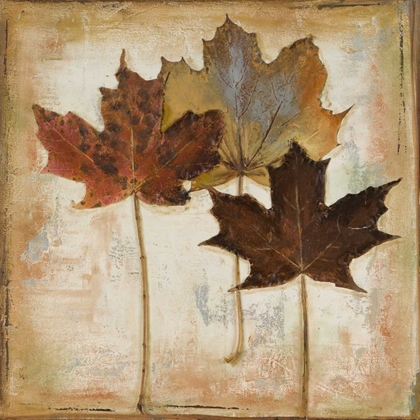 Picture of NATURAL LEAVES III