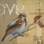 Picture of BLUE LOVE BIRDS II