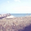 Picture of SOFT BREEZE SHORES