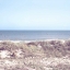 Picture of SOFT BREEZE COAST