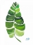 Picture of GIANT PALM LEAF II