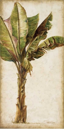 Picture of TROPIC BANANA I