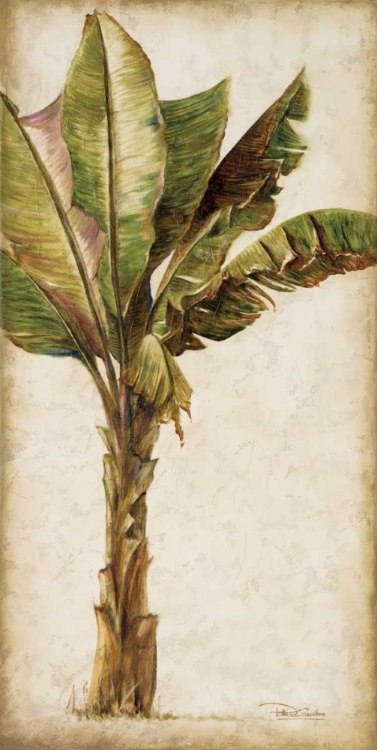 Picture of TROPIC BANANA I