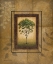 Picture of ALPINE ASH