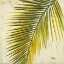 Picture of BARU PALM I