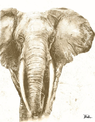 Picture of MUTED ELEPHANT