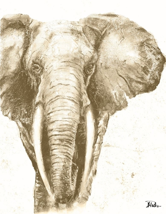 Picture of MUTED ELEPHANT