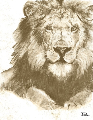 Picture of MUTED LION