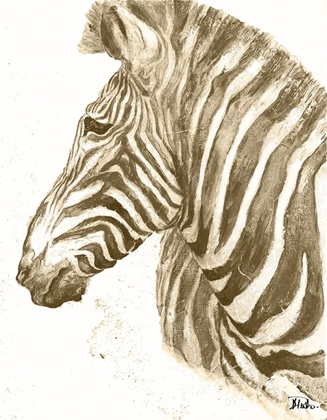 Picture of MUTED ZEBRA