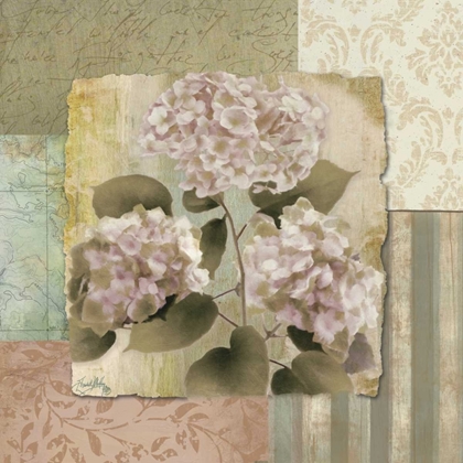 Picture of BOTANICAL HYDRANGEAS