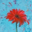 Picture of BLUE TINY FLOWER SQUARE I
