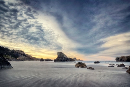 Picture of LOW TIDE