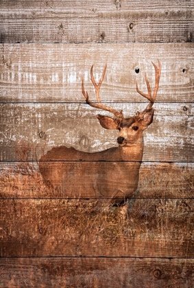 Picture of WOODLAND DEER