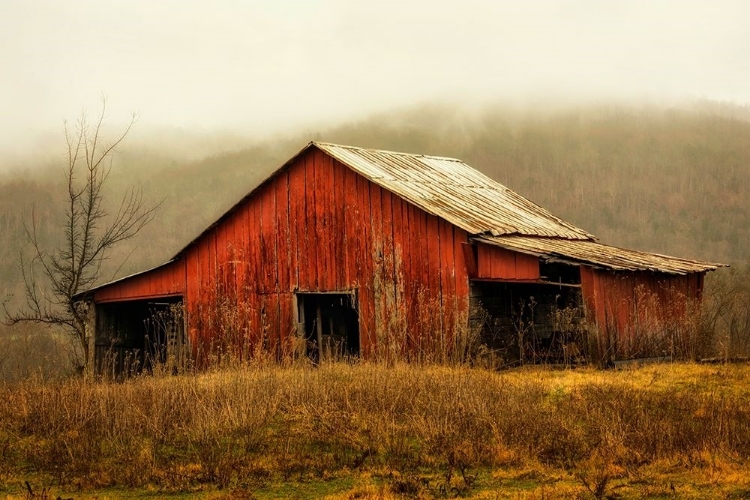 Picture of SKYLIGHT BARN IN THE FOG