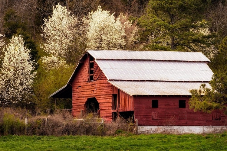 Picture of SKYLIGHT RED BARN