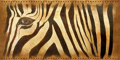 Picture of ZEBRA EYE