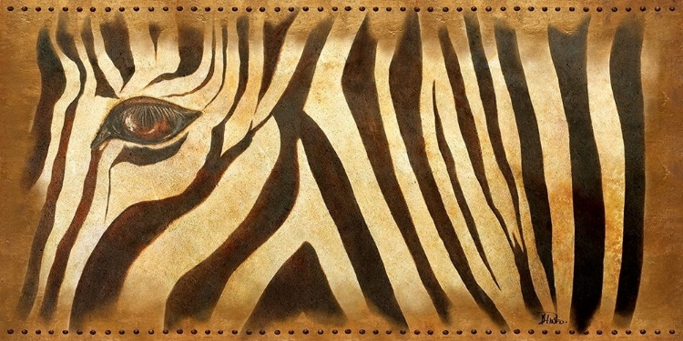 Picture of ZEBRA EYE