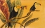 Picture of TOUCANS II