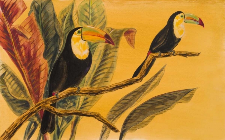 Picture of TOUCANS II