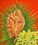 Picture of ISLAND TREASURES I