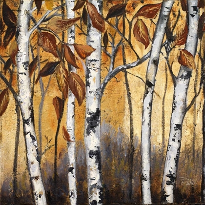 Picture of BIRCHWOOD TREES ON GOLD I
