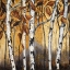 Picture of BIRCHWOOD TREES ON GOLD I