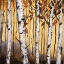 Picture of BIRCHWOOD TREES ON GOLD II