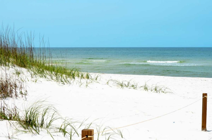 Picture of WHITE SANDY BEACH II