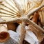 Picture of GOLD STARFISH II