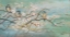 Picture of SPRING BRANCH WITH BIRDS