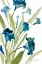 Picture of TEAL BELLES II