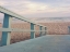 Picture of DOWN TO THE BEACH