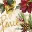 Picture of CHRISTMAS POINSETTIA II