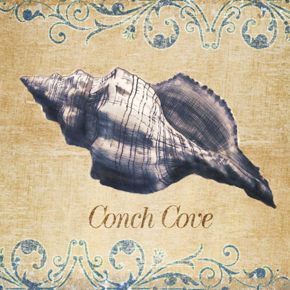 Picture of CONCH COVE