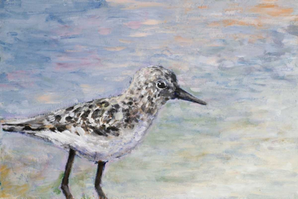 Picture of SANDPIPER I