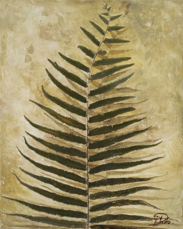 Picture of FERNS III